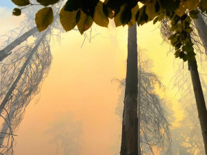 VIDEO: I v hradeckém kraji je od rána cítit zápach spáleniny. Jde o požár v Českém Švýcarsku