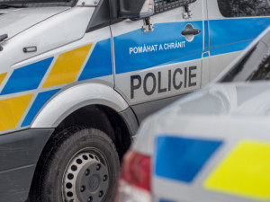 Policie v hradeckém kraji zadržela 13 migrantů. Schovávali se v kamionu z Rumunska