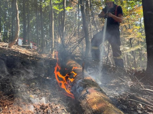 V Českém Švýcarsku pomáhají i dobrovolní hasiči z Hradce Králové. Denně naběhají 14 kilometrů