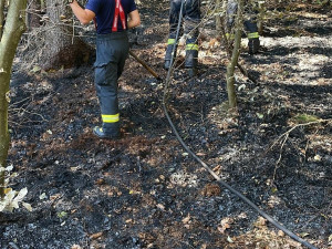 V Českém Švýcarsku pomáhají i dobrovolní hasiči z Hradce Králové. Denně naběhají 14 kilometrů