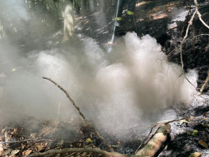V Českém Švýcarsku pomáhají i dobrovolní hasiči z Hradce Králové. Denně naběhají 14 kilometrů