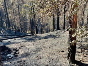 V Českém Švýcarsku pomáhají i dobrovolní hasiči z Hradce Králové. Denně naběhají 14 kilometrů