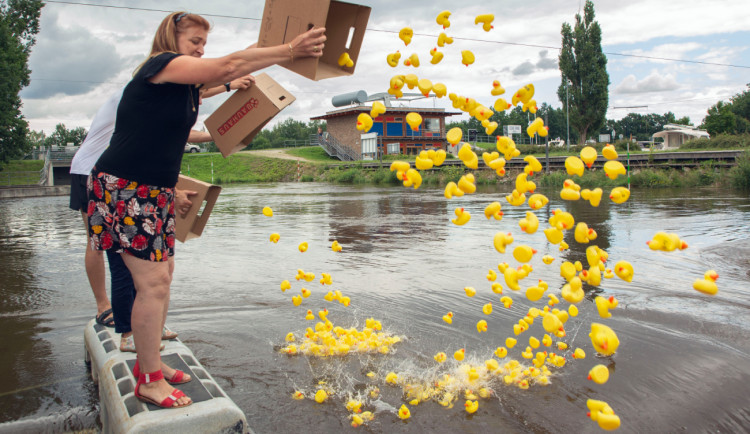Rekreační vodáci se v Brandýse budou učit od mistrů světa. Na programu je i závod koupacích kachniček