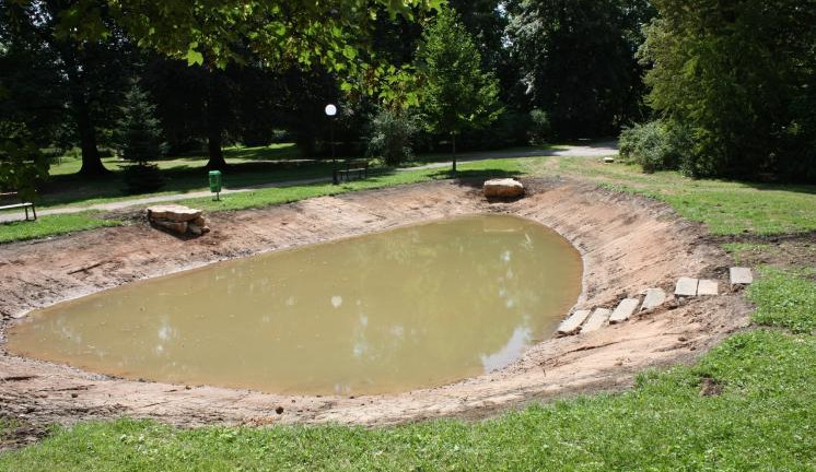 Výstavba průtočných tůní v parku Schulzovy sady ve Dvoře Králové pokračuje