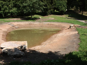 Výstavba tůní a přivaděče vody