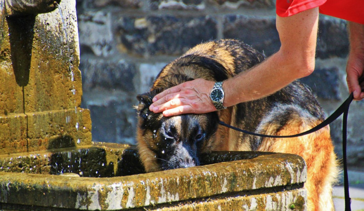Únik před vedrem nabízejí například Teplické skály. Včera tam bylo deset stupňů