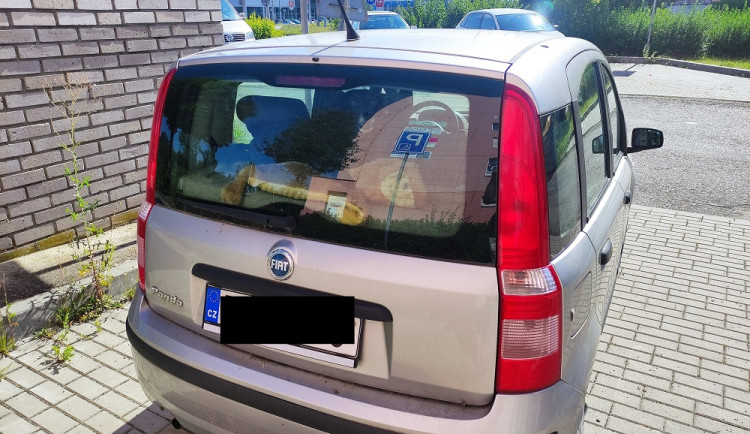 Žena si všimla psa, který štěkal uvnitř automobilu