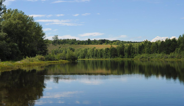 V jihočeských rybnících se zhoršuje kvalita vody, Lipno si polepšilo