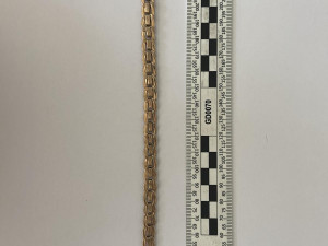 Policie v hradeckém kraji zadržela muže, který byl v pátrání i v Německu, Polsku a na Slovensku