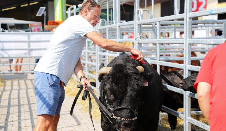 Země živitelka připomene význam zemědělců. Přijede zhruba 600 vystavovatelů
