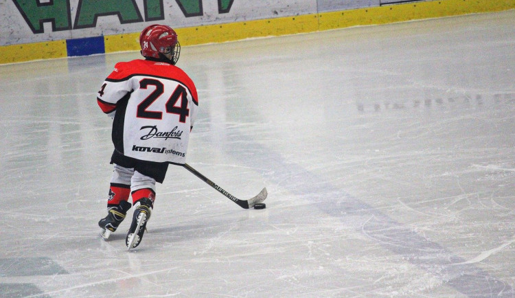 Budějce rozdělí sportovním klubům více než milion korun navíc