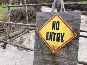 Safari Park Dvůr Králové měl o prázdninách nadprůměrnou návštěvnost