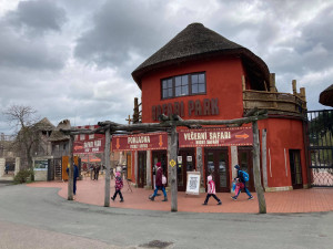 Safari Park Dvůr Králové měl o prázdninách nadprůměrnou návštěvnost