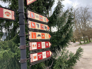 Safari Park Dvůr Králové měl o prázdninách nadprůměrnou návštěvnost