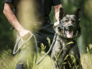 Jsme policie. Práce 158 krát jinak