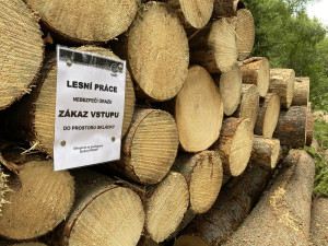 Lesníci v Krkonoších zuří. Skládky dřeva nejsou prolézačky