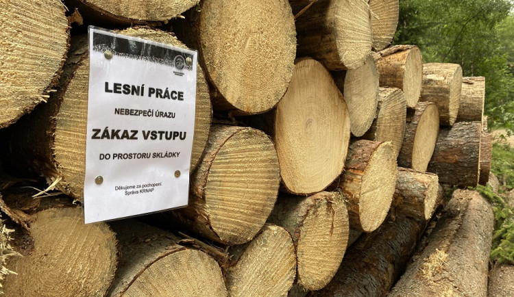 Lesníci v Krkonoších zuří. Skládky dřeva nejsou prolézačky!