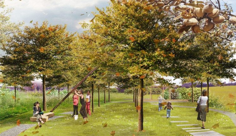 Dešťová zahrada, ovocný sad či hřiště. Budějčáci budou vybírat z 19 projektů