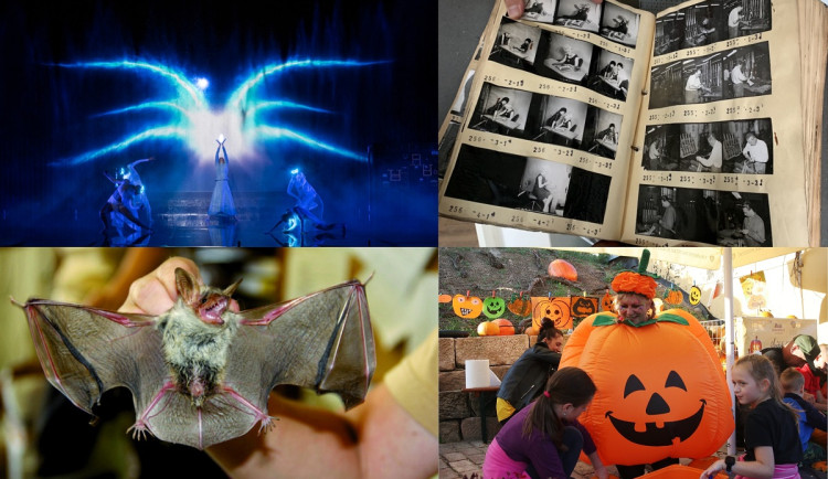 Kam o víkendu na jižní Moravě? Na dýňobraní i fontánovou show