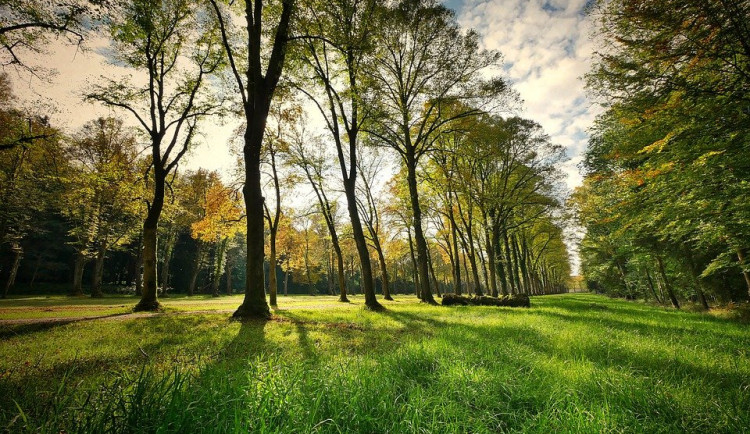 Během týdne nás čeká relativně příjemné počasí. Naměříme až 20 stupňů