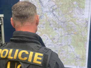 Během cvičného pátrání bylo třeba zahájit skutečné. V lese se ztratila houbařka