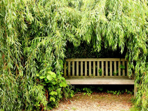 Dřevěné lavičky do klášterní zahrady v Opočně vyrobí veřejnost. A to pod vedením norských tesařů