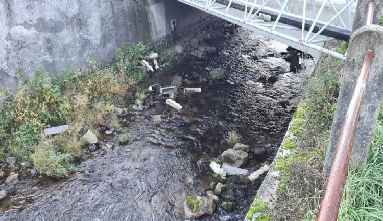 VIDEO: Muže zaujaly květináče, 160 rostlin vysypal do řeky