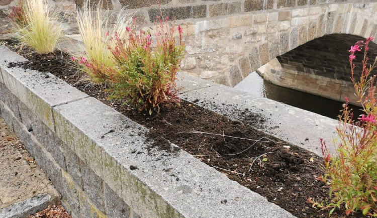 Zaměstnanci úřadu nechali vysázet tisíce rosltlin. Vandalové je poškodili