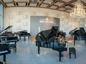 Petrof hledá jméno pro piano, autor vítězného návrhu získá jeden z nástrojů