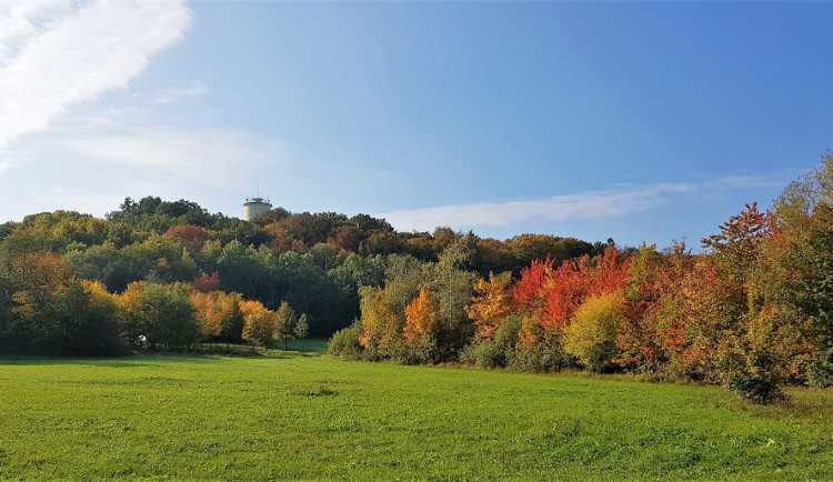 Pohled na Rozárku v Hradci Králové