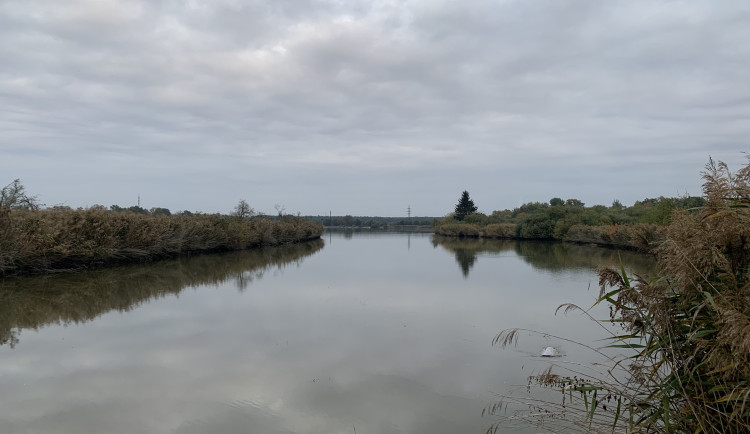 Na jihu Čech vzniknou plovoucí ostrovy pro vodní ptactvo