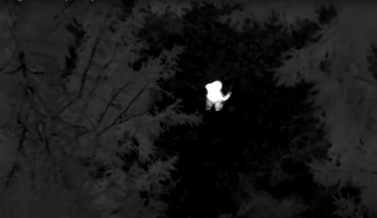 Tříletý chlapec se ztratil při procházce v lese. Policie ho našla pomocí termovize a vrtulníku.