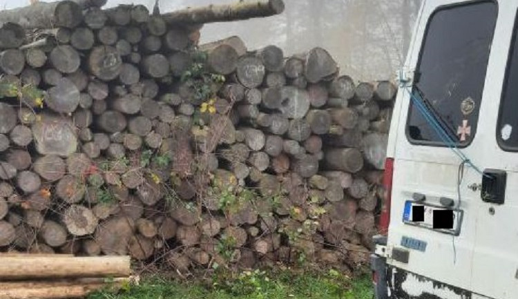 Nanoste to dřevo zpátky, nakázali policisté upoceným zlodějům z fotopasti