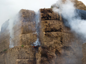 Na poli u Stěžer hořela sláma. S požárem hasiči bojovali dlouhých 12 hodin