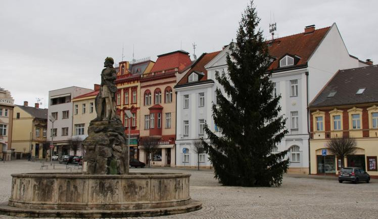 Vánoční strom ve Dvoře Králové nad Labem