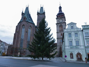 Hradecká náměstí už zdobí vánoční stromy, rozsvítí se v neděli