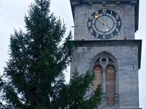 Vánoční strom na Velkém náměstí v Hradci Králové