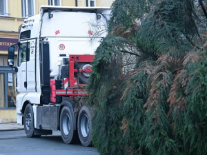 Vánoční strom na Velkém náměstí v Hradci Králové