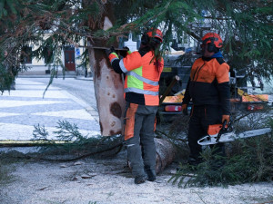 Vánoční strom na Velkém náměstí v Hradci Králové