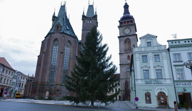 Vánoční strom na Velkém náměstí v Hradci Králové