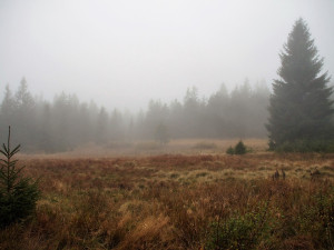 Během prvního adventního víkendu bude v hradeckém kraji sněžit jen na horách