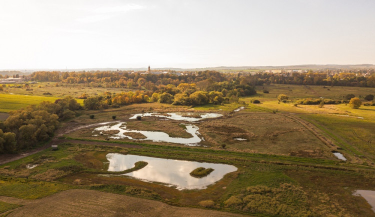 Josefovské louky u Jaroměře jsou větší. Přibylo dalších šest hektarů
