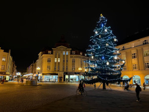 ANKETA: Jaké náměstí v Hradci Králové má hezčí vánoční strom?