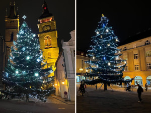 ANKETA: Jaké náměstí v Hradci Králové má hezčí vánoční strom?