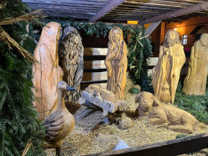 ANKETA: Jaké náměstí v Hradci Králové má hezčí vánoční strom?