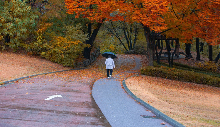 Muž dal seniorce pěstí, poté utekl s její kabelkou