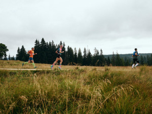 Běhej lesy spouští registrace na rok 2023 a přichází s týmovým štafetovým závodem