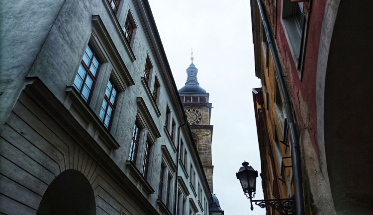 IMG_20221125_075546-01