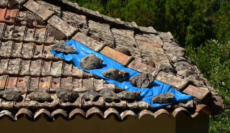 Seniory na Brněnsku obírají dělníci. Mluví špatně česky, nic nespraví a jsou drazí