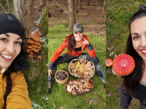 Česko letos zažívalo houbařské žně, říká populární Šumavská houbička. K návštěvě lesa inspiruje tisíce lidí